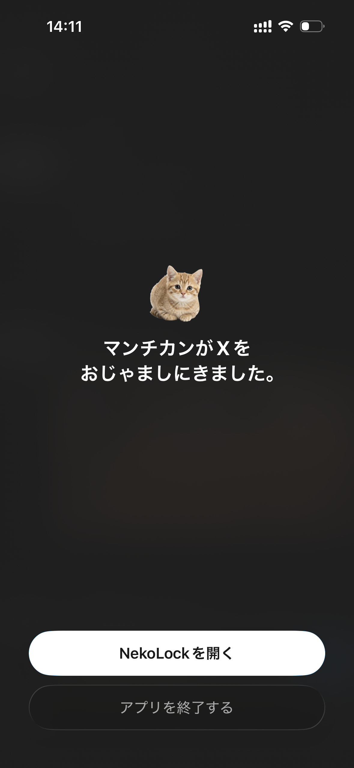 NekoLock shield screen